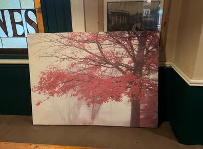 prints on canvas .