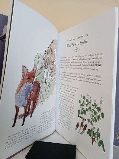 Naturama: Open Your Eyes to the Wonders of Irish Nature by Michael Fewer and Melissa Doran (PT164)