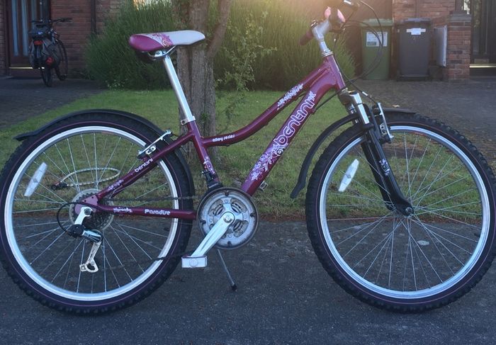 Girl's Bicycle and Accessories