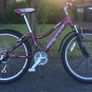 Girl's Bicycle and Accessories Image 2