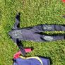 Quality Kids Wetsuits Image 3
