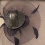Navy fascinator Image 3