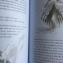 Soonchild Book by Russell Hoban Image 3