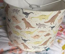 Lamp/ ceiling light shade for boy's room