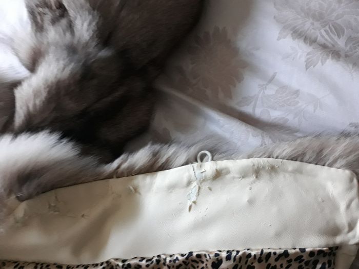 Furry Jacket