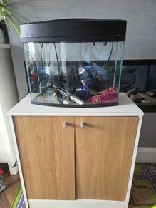 fish tank with stand, filter and heater