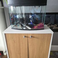 fish tank with stand, filter and heater