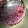 Vintage Wedgwood Studio Glass Paperweight Image 5