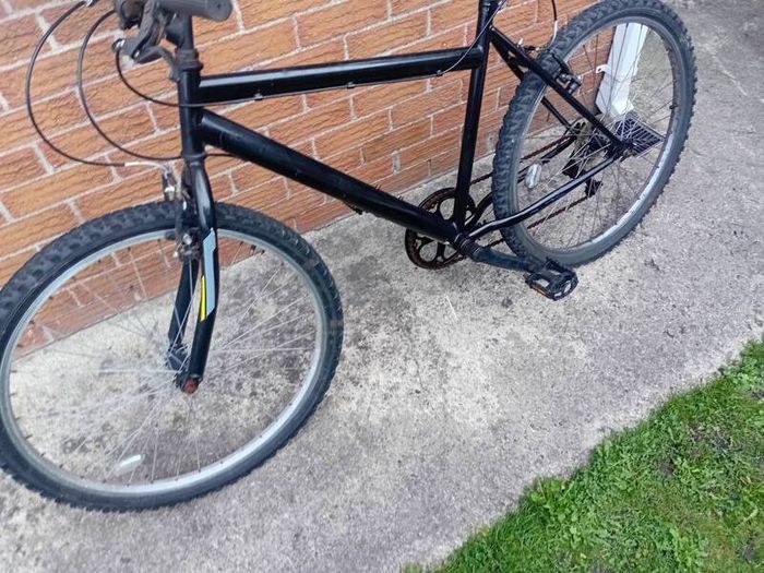 adults bike