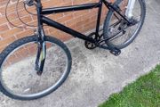 adults bike