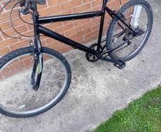 adults bike