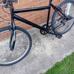 adults bike