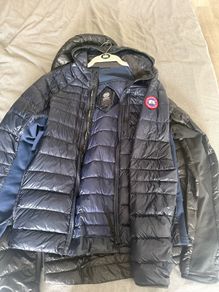 Canada goose hybridge
