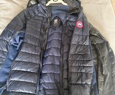 Canada goose hybridge