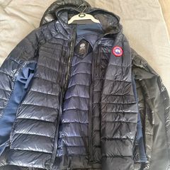 Canada goose hybridge
