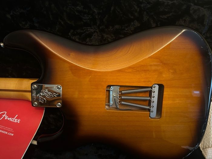 Fender Eric Johnson Thinline Stratocaster & Original case.