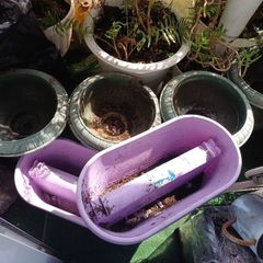 6 Flower pots