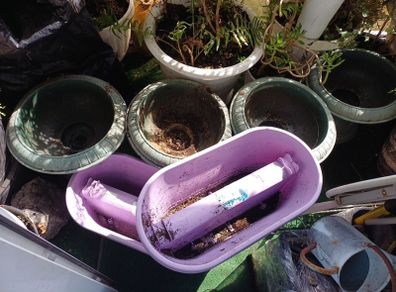 6 Flower pots