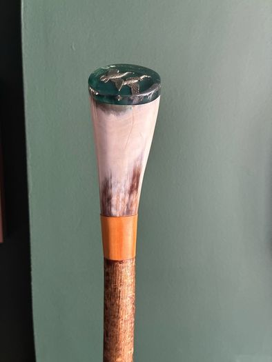 walking stick cane