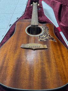 Tanglewood sundance pro