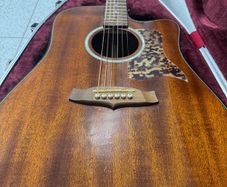 Tanglewood sundance pro