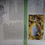 Aquarium book Image 4