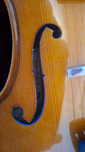 Stentor 1 Student Violin