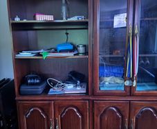 Mahogany cabinets