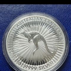 Silver one ounce Coin