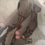 high heels shoe Image 6