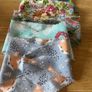 5 Dog Bandanas Image 2