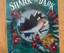 The Shark in the Dark - Paperback: Ages 2-4 years