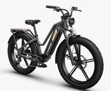 FIIDO TITAN CARGO Fat Tire Touring Electric Bike