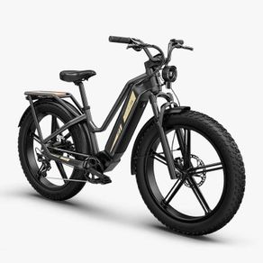 FIIDO TITAN CARGO Fat Tire Touring Electric Bike