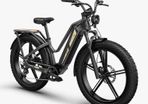 FIIDO TITAN CARGO Fat Tire Touring Electric Bike