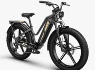 main image for ad FIIDO TITAN CARGO Fat Tire Touring Electric Bike