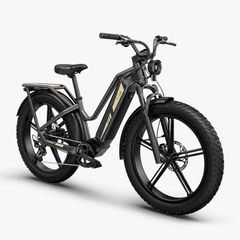 FIIDO TITAN CARGO Fat Tire Touring Electric Bike