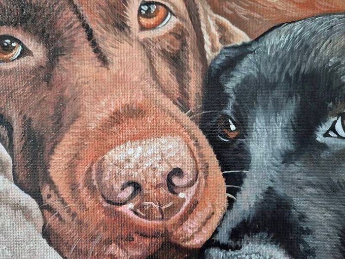Black & Chocolate Labrador - oil painting