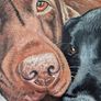 Black & Chocolate Labrador - oil painting Image 2