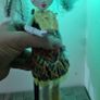 Monster High Doll Electrified High Voltage Frankie Stein Light Up Image 7