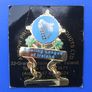 BOWLING LEAGUE OF IRELAND (Division 5 Winners 2009) - metal & enamel badge with its backing card (scarce!) Image 8