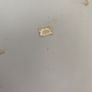 Super Bowl  XXXIX plastic plates Image 4