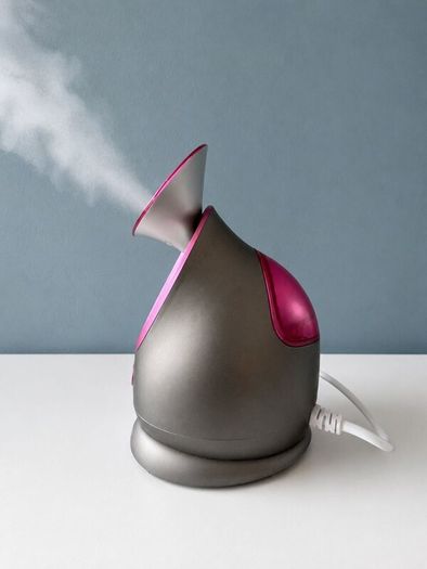 Envie Facial Steamer