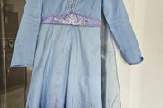 Disney store Elsa Frozen 2 costume