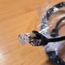 Ethernet Cable Image 2