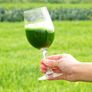 Organic Raw Barley Grass JUICE Powder - Premium Grade & Organic Certified (300 grams) Image 3