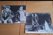 James Dean 1955 Rebel Without A Cause Press Photos