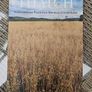 Thatch. Voices From Traditional Housesof Co Laois. First Edition Large Volume Paperback In Good Condition.  See Photos For Same. Image 2