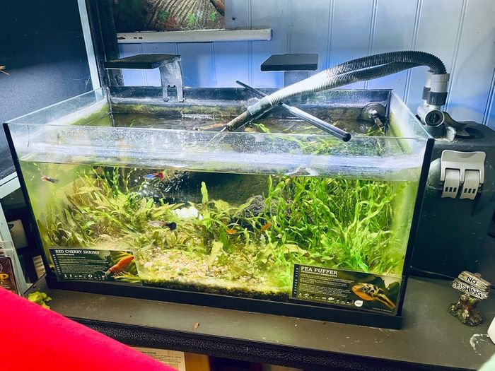 aquarium