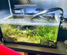 aquarium